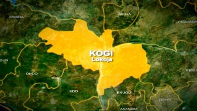 Why we withdrew interest in Kogi land - BUA