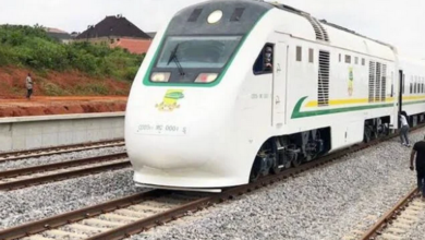 Chinese loan delaying Port-Harcourt-Maiduguri rail projects - FG