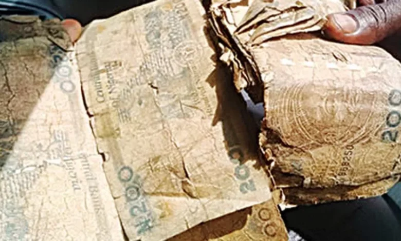 CBN destroyed over N6trn notes under Buhari - Report