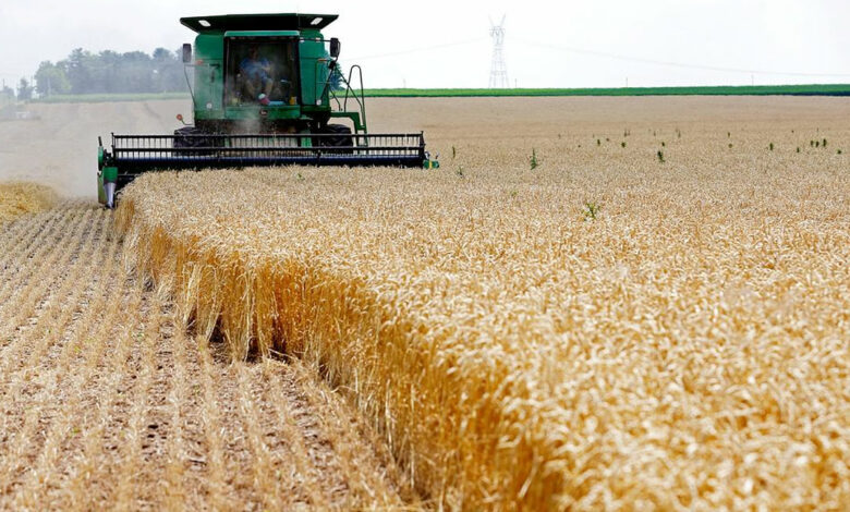 Nigeria imported wheat, ethanol, others worth $626m from US - Report