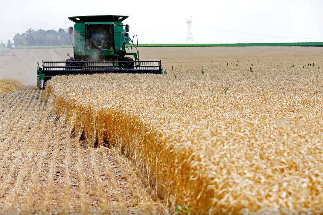Nigeria imported wheat, ethanol, others worth $626m from US - Report