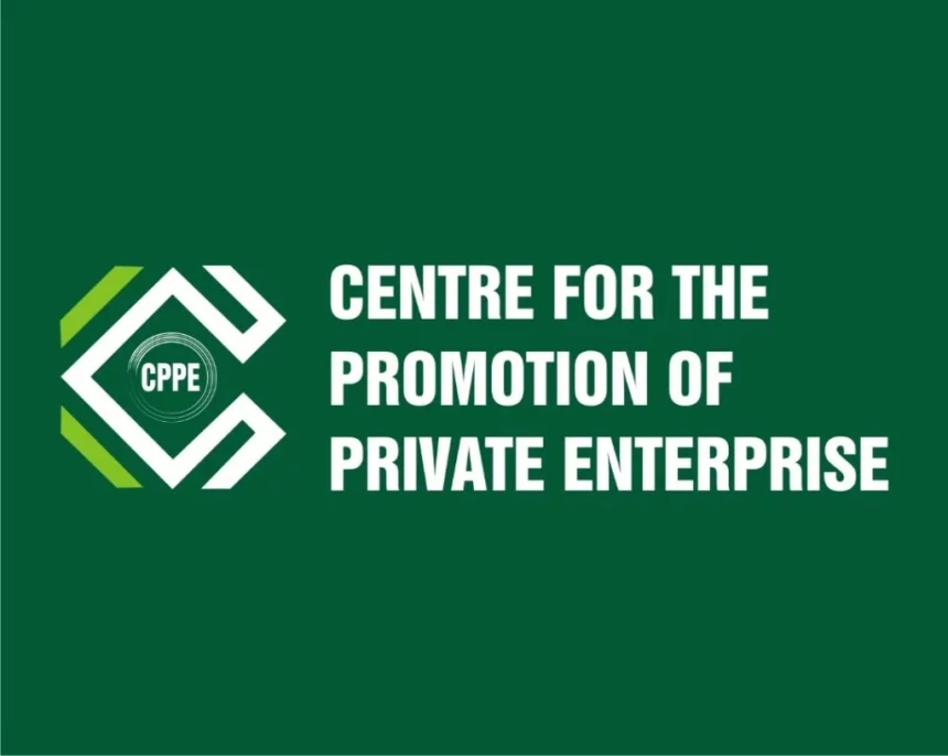 How 0.5% import tax will boost Nigerian economy - CPPE