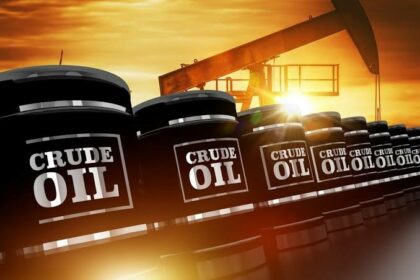 FG discovers new locations for oil production of 681,000 bpd
