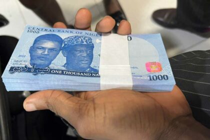 FG spent N74bn on new naira, others - CBN report