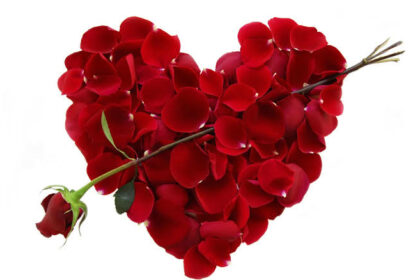 Red rose flowers arranged in love shape