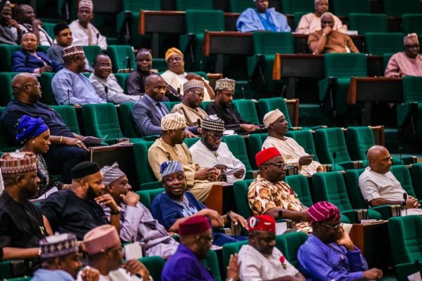 Chinese bank rejects FG's loan request - Reps