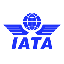 Airlines passenger traffic increases by 124% - IATA