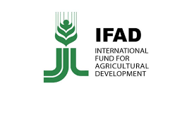 Africa needs $614 billion to combat food insecurity - IFAD