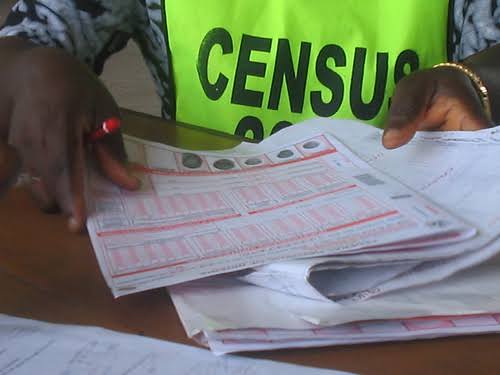 Census Ad hoc Staff collating report