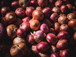 Nigeria records losses on onion production annually - NOPMAN