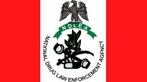 NDLEA laments high rate of drug abuse in Abia