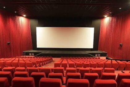 Why Nigeria's box office revenue dropped to N514.7m - CEAN