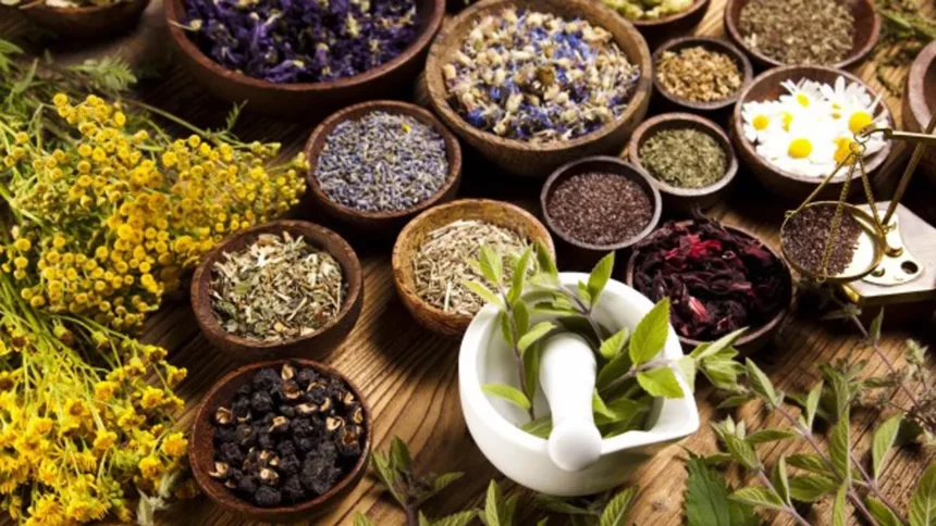 Anambra bans advertisement of herbal medicine