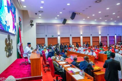 Nigeria can earn $3bn per year from solid minerals - Senate