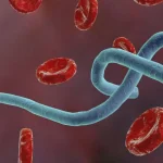 FG approves ₦21.2m Ebola preparedness funds