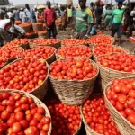 MSMEs are the engine room of Nigerian economy — Shettima