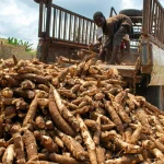 Senate commends EKEDP’s improved performance since power privatisation