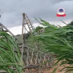 TCN declares force majeure after towers collapse in Kebbi